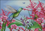(image for) Hungry Hummingbird